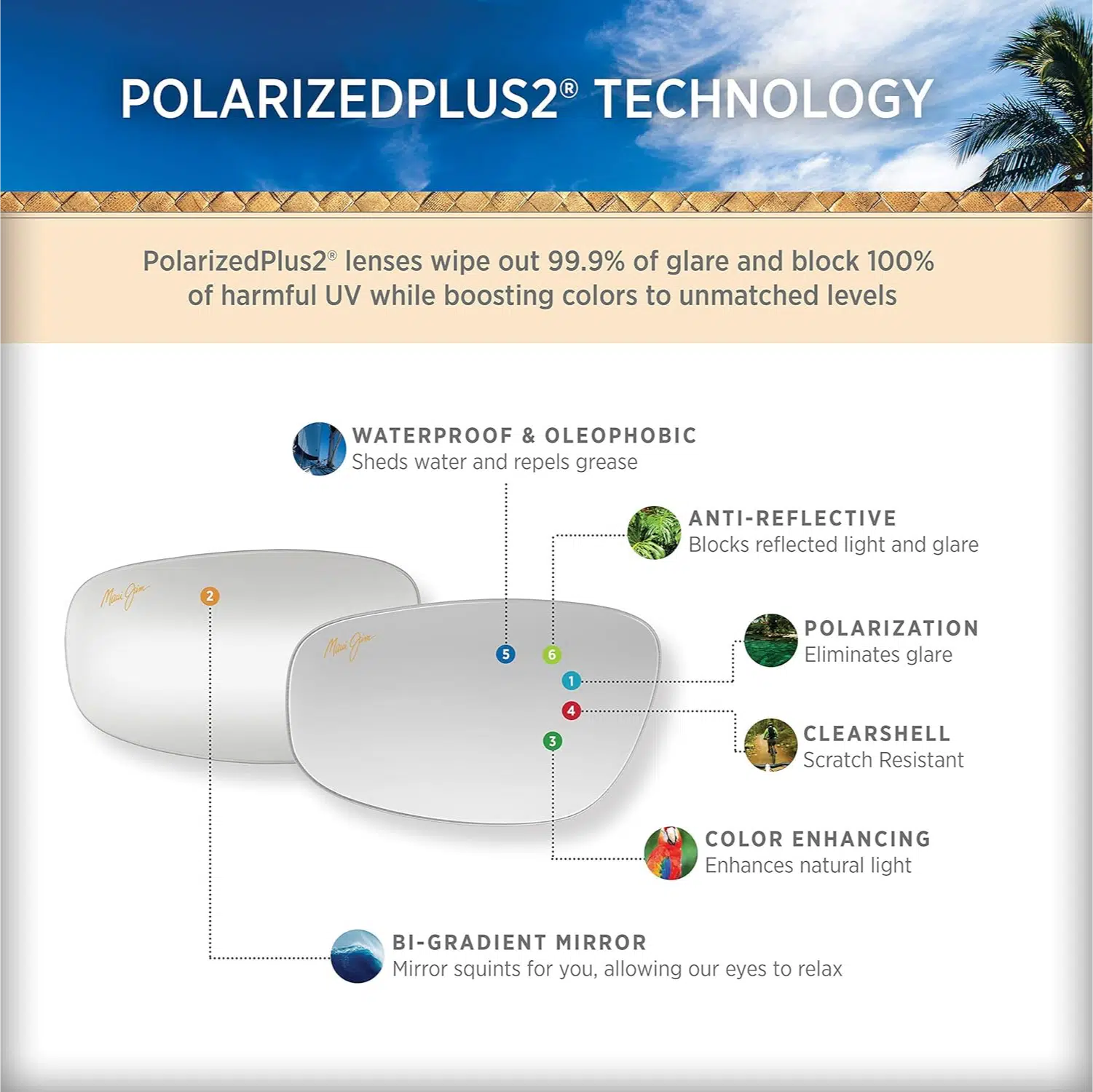 Maui Jim technology for perfect eyewear