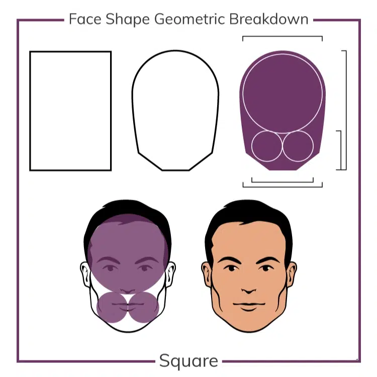 Face shape geometric breakdown (Square)