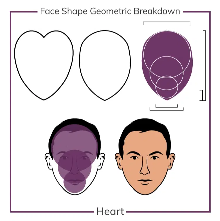 Face shape geometric breakdown (Heart)