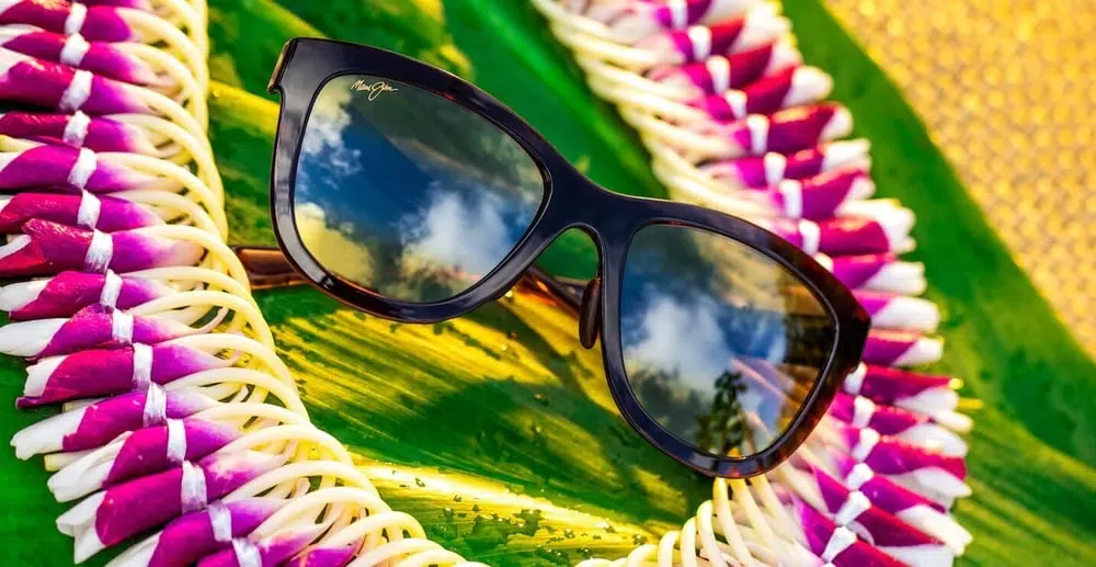 Popular shades for ultimate vision