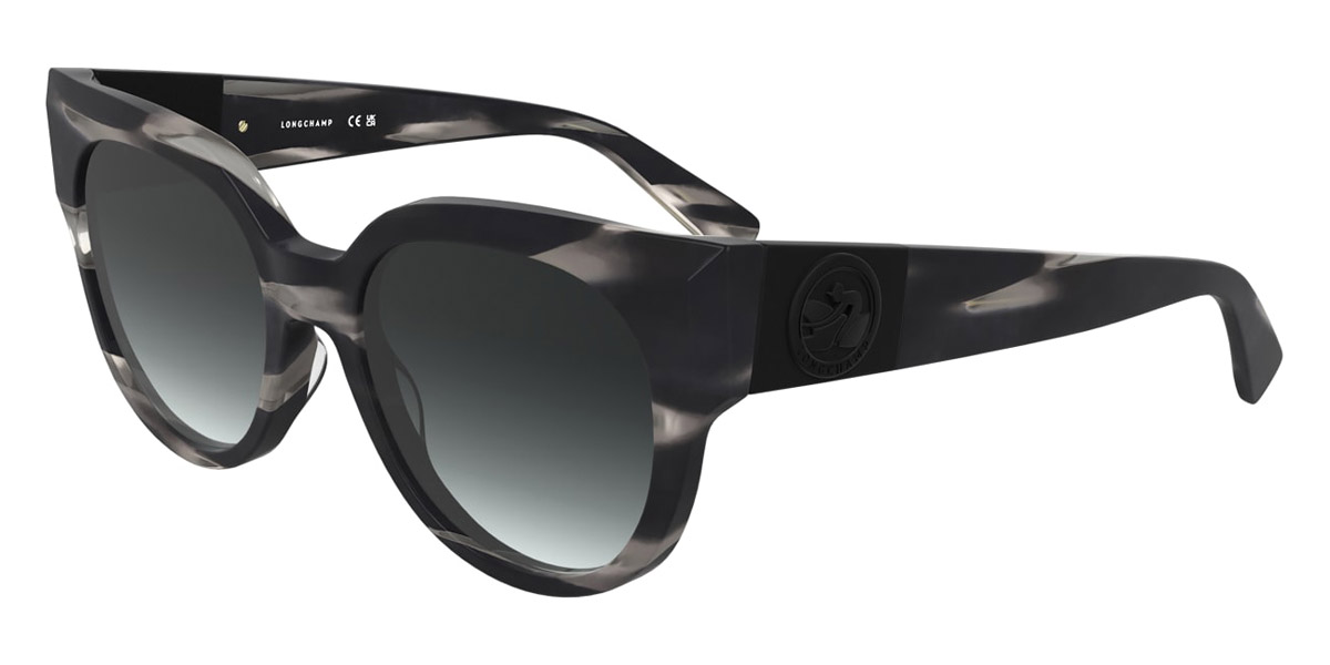 black sunglasses longchamp