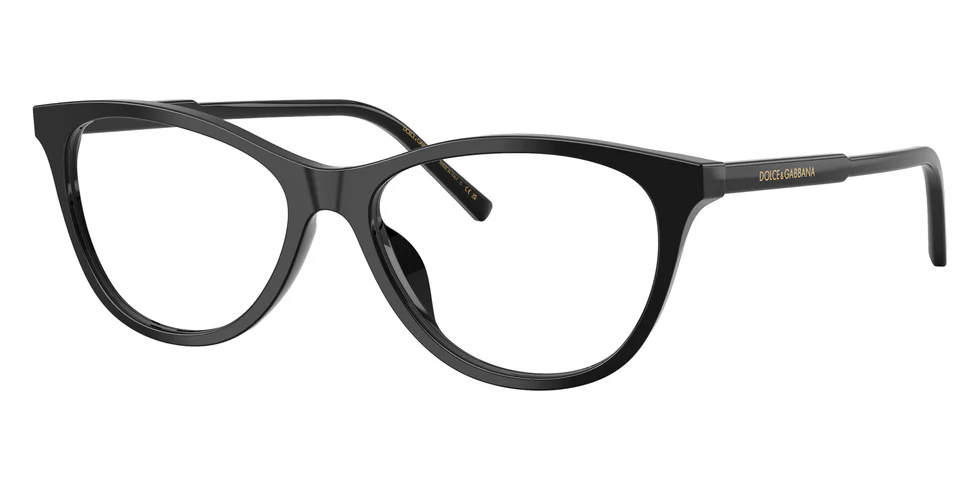 Dolce & Gabbana cat-eye frame black