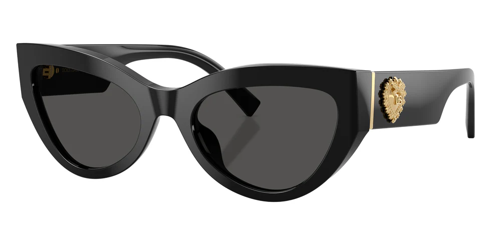 Sunglasses DG4536